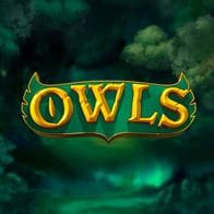 Owls game thumbnail